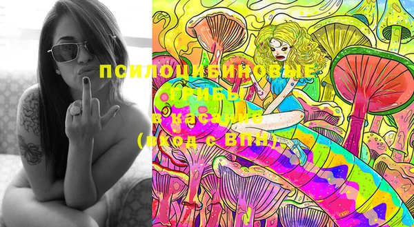 спиды Липки