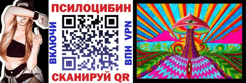 Галлюциногенные грибы Cubensis  Купить закладки  Безенчук 